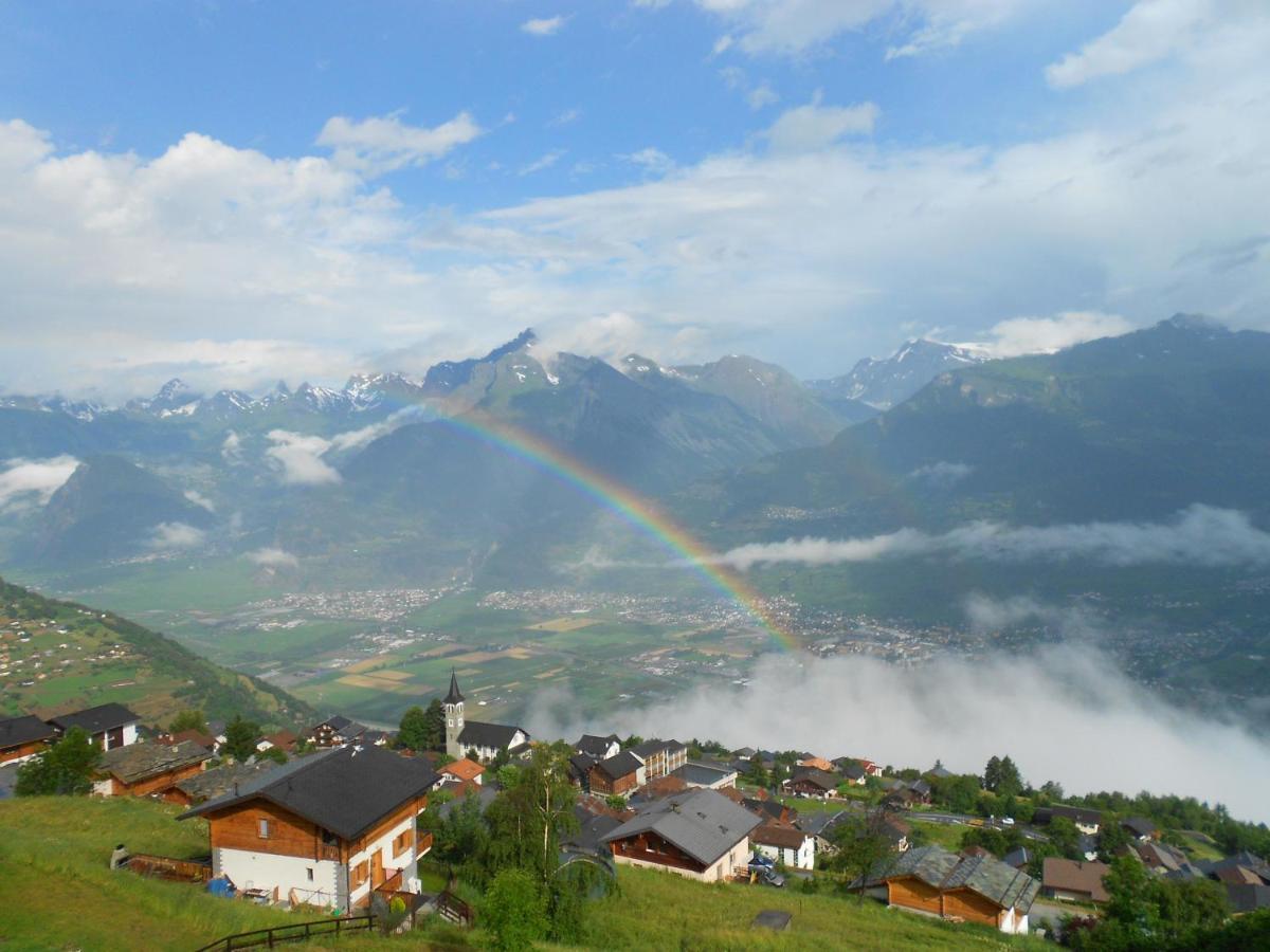 Fontanettaz Mountain & Cosy Apartments By Alpvision Residences 维松纳 外观 照片